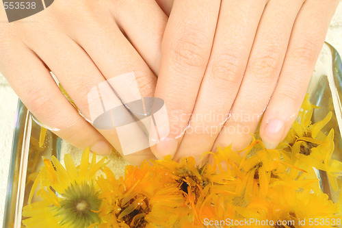 Image of Female hands in spa