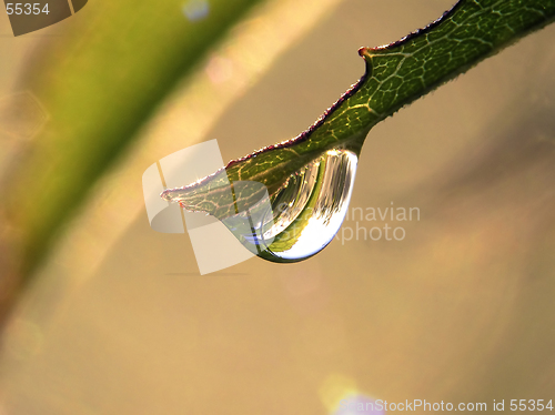 Image of Drop