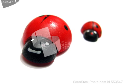 Image of Ladybugs racing