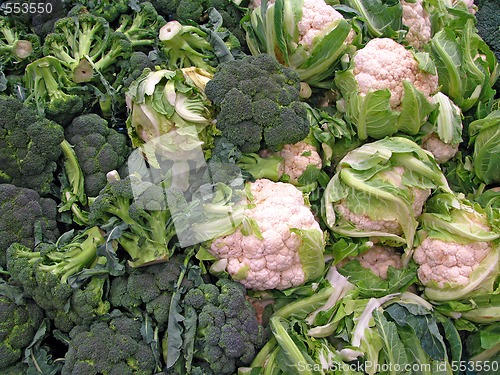 Image of Fresh Broccoli And Cauliflower 1