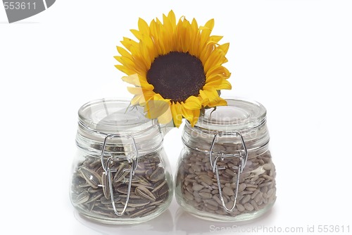 Image of Sunflower seeds