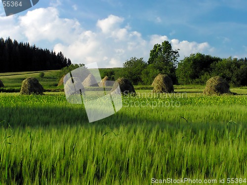 Image of Haymaking