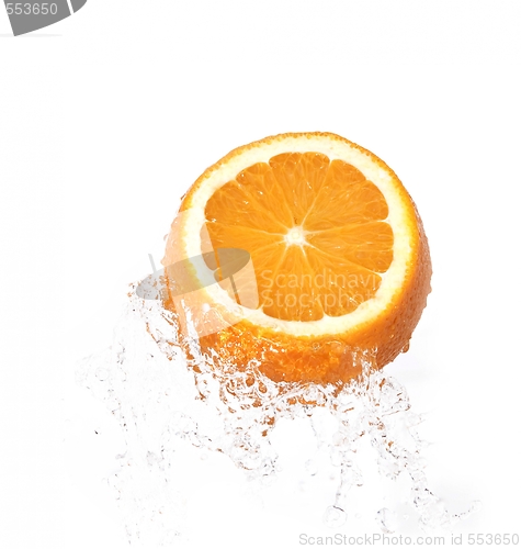 Image of orange