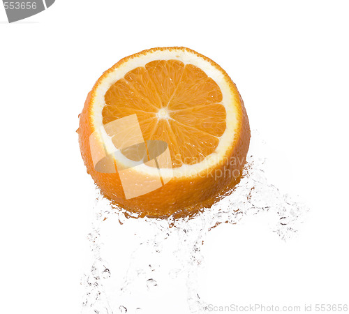 Image of orange 