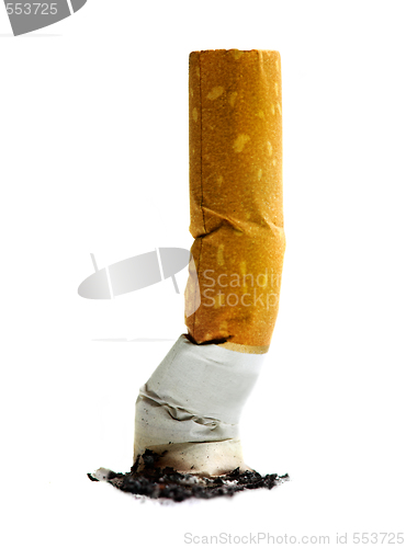 Image of Close up of cigarette on white