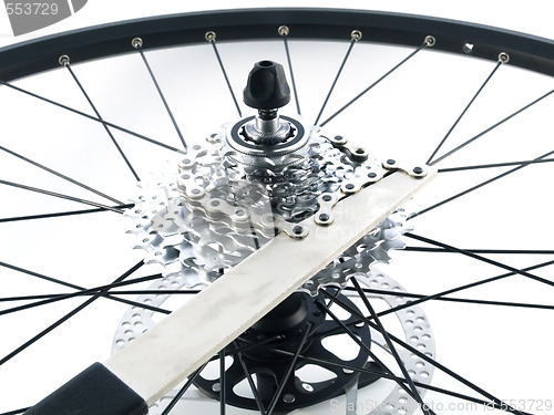 Image of rear bicycle cog cassette