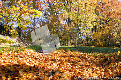 Image of Autumn park