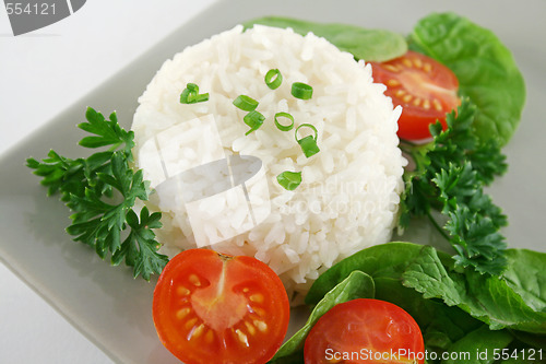 Image of Rice Stack And Salad