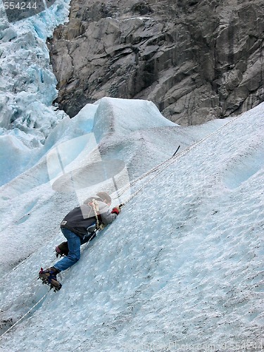 Image of A little ice climber