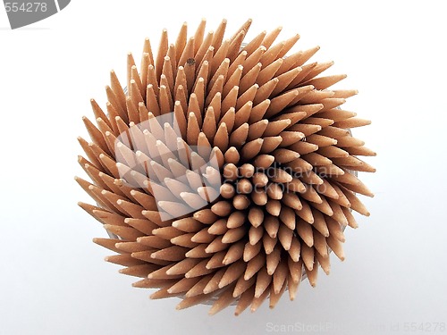 Image of Hedgehog