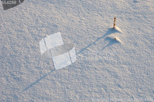 Image of snow