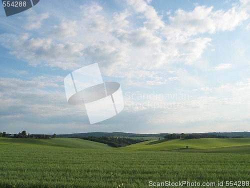 Image of meadow landscape