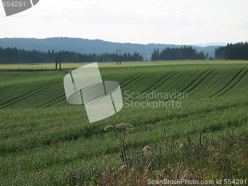 Image of countryside landscape