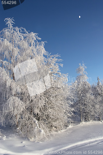 Image of winter evening