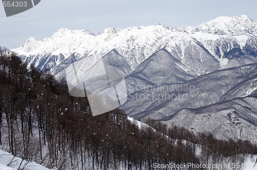 Image of Caucasus