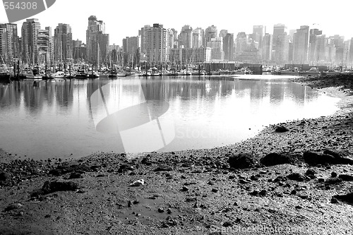 Image of The lonely seagull vs a big city