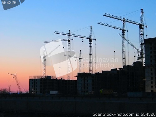 Image of sunset cranes