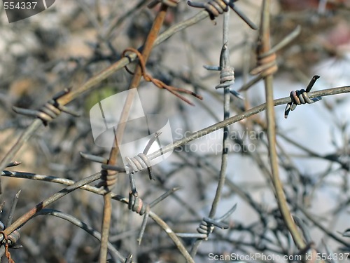 Image of barbed wire