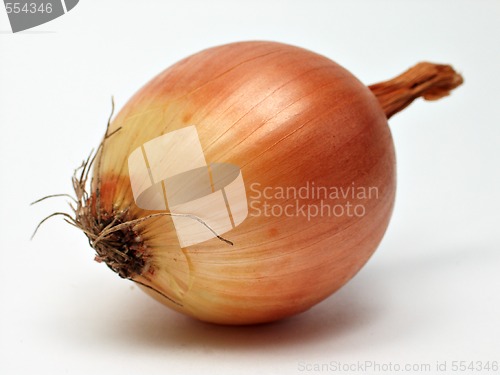 Image of golden onion