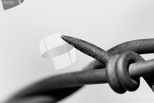 Image of barbed wire abstract macro