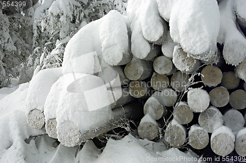 Image of logs under snow