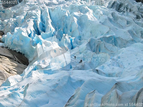 Image of Alone in the ice