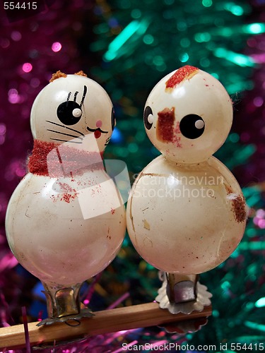 Image of Birds