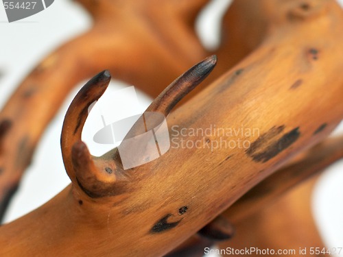 Image of Crooked tree