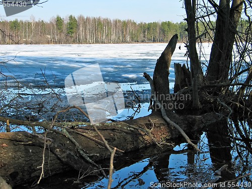 Image of spring lake 2