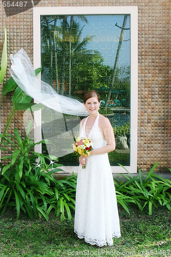 Image of Beautiful bride