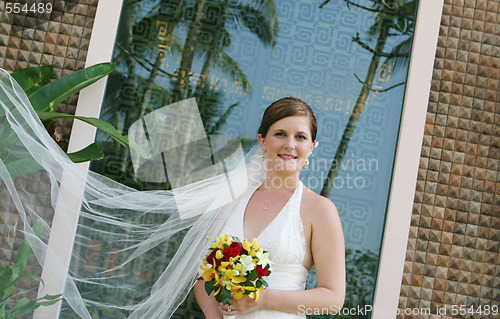 Image of Beautiful bride