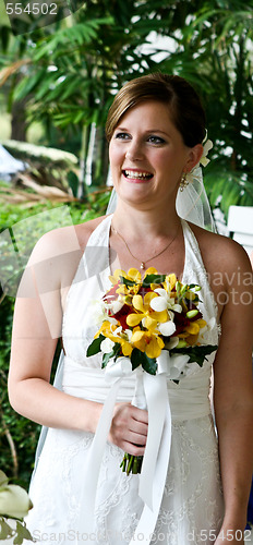 Image of Beautiful bride