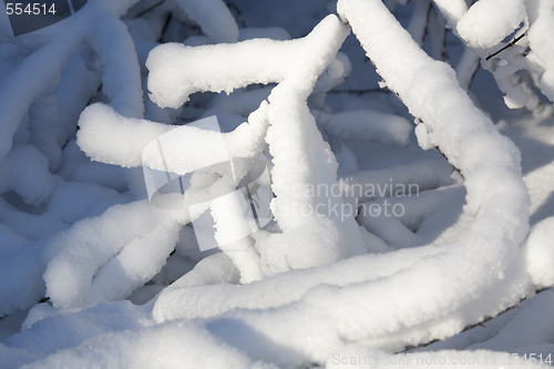 Image of Ice Branch 7