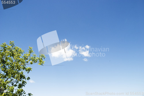 Image of cloud and tree
