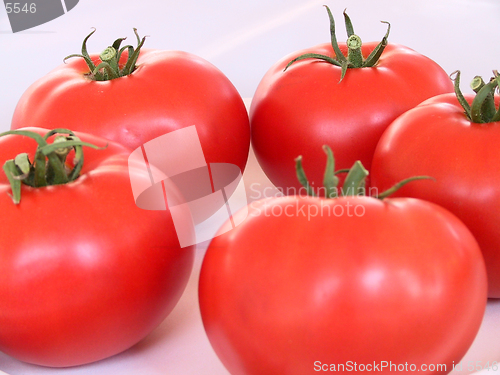 Image of Tomatoes