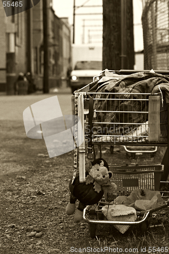 Image of homeless shopping cart