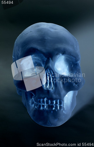 Image of Skull