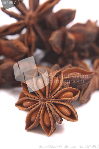 Image of anise star