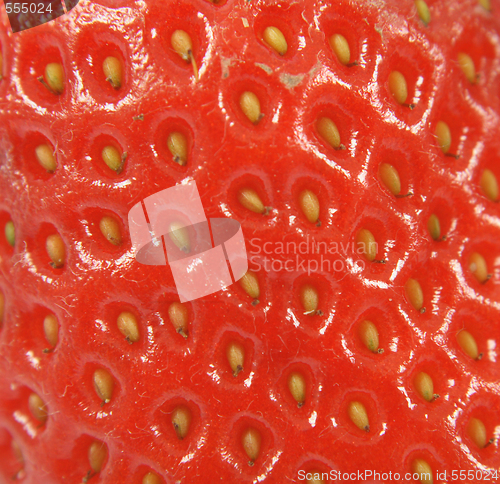 Image of strawberry background