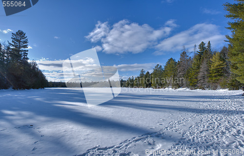 Image of Snow Field
