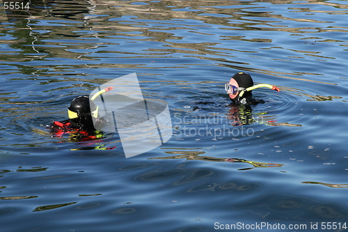 Image of Divers