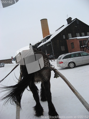 Image of Working horse