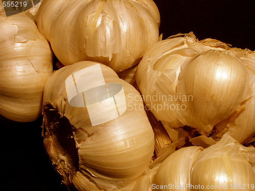 Image of garlic