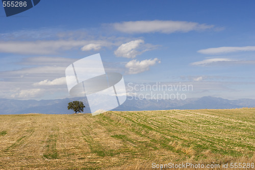 Image of Spain landscape