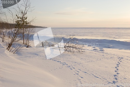 Image of frozen sea