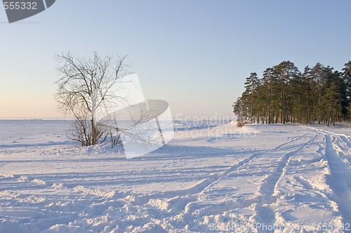 Image of frozen coast