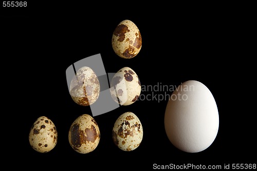 Image of small and big eggs