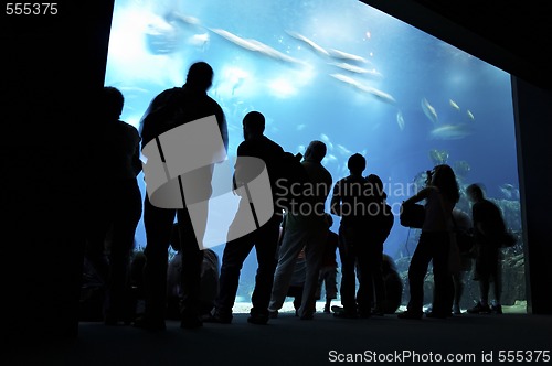 Image of people looking at big aquarium