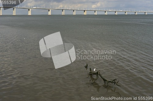 Image of Golden Gate of Lisbon