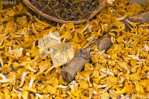 Image of chanterelles at market